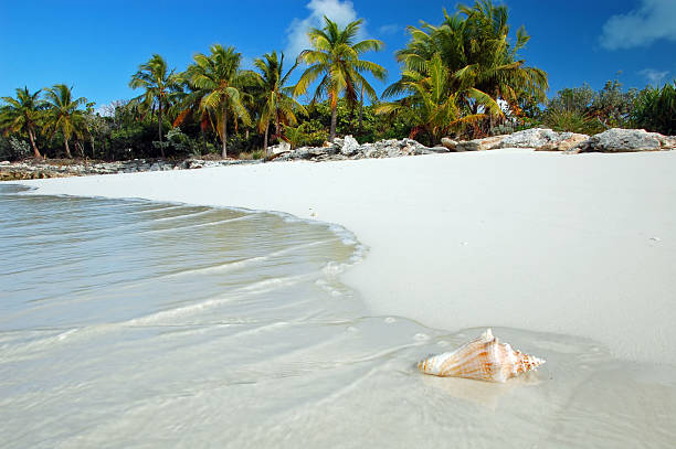 Strand Bonaire